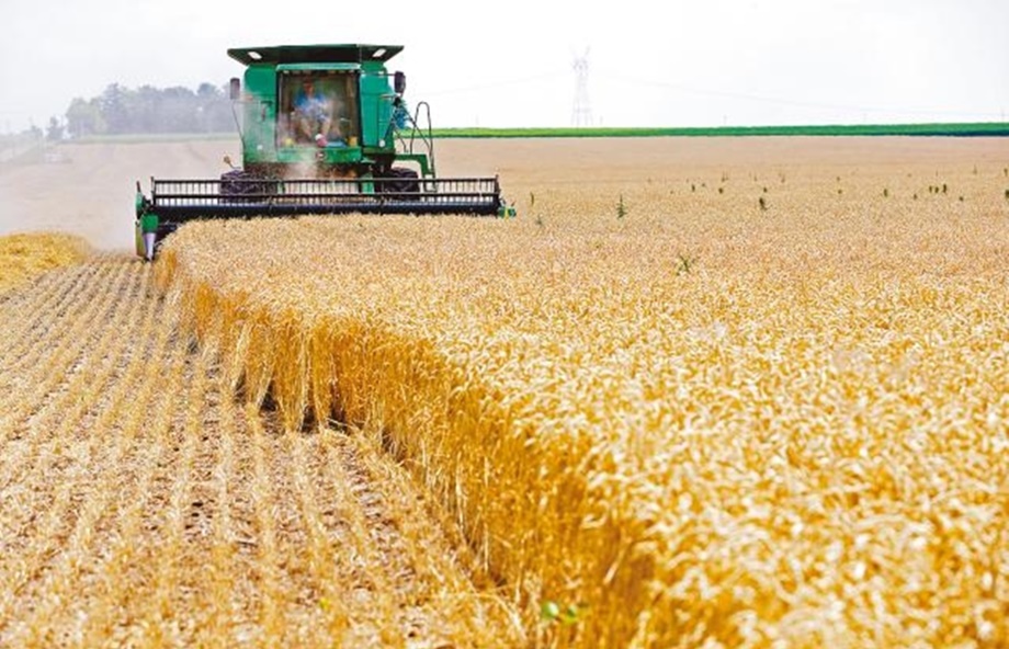 farm-920x592 farm-920x592