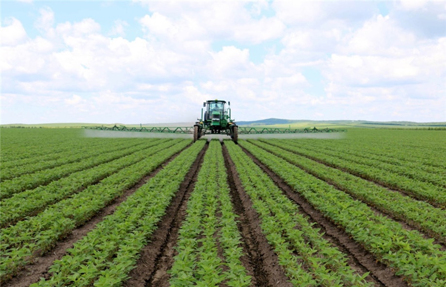 farm2-920x592 farm2-920x592
